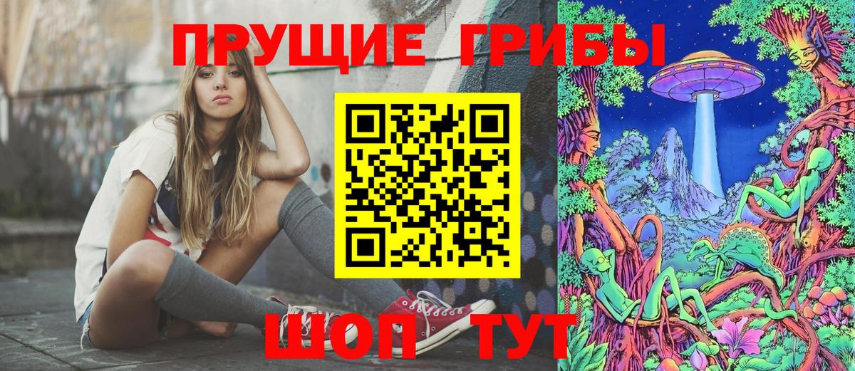 Качканар  Галлюциногенные грибы Psilocybe  Вход с VPN  Псилоцибиновые грибы Psilocybe 