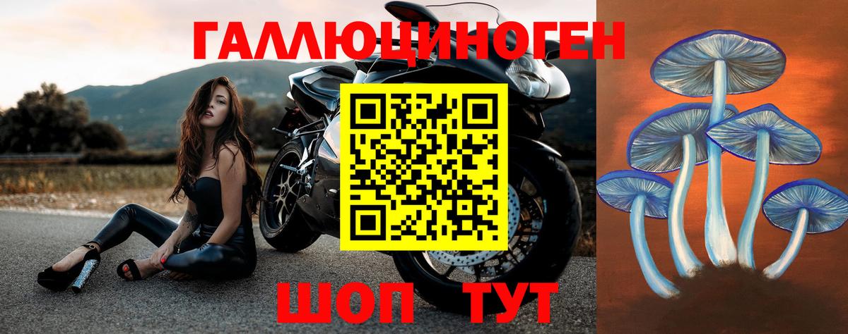 Псилоцибиновые грибы Psilocybe Качканар