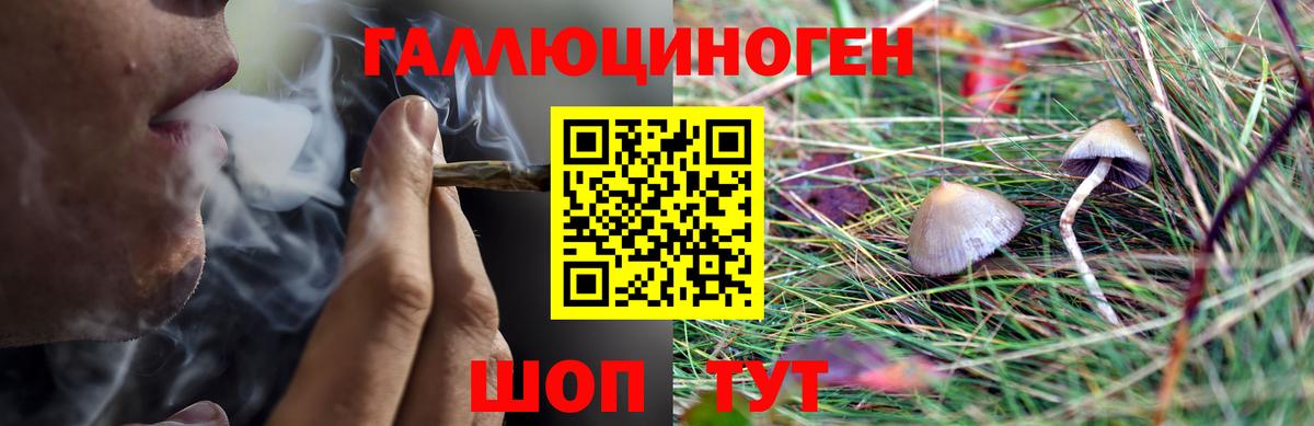 Галлюциногенные грибы Качканар
